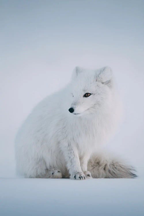 Svalbard, Norway I