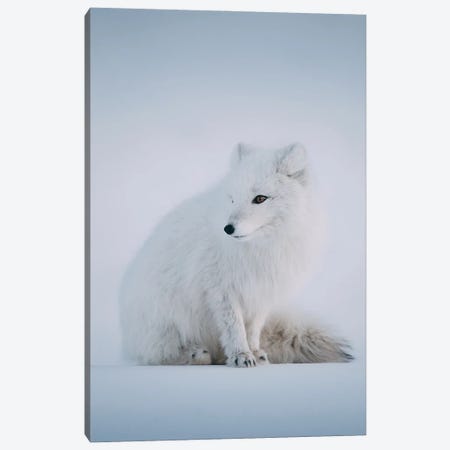 Svalbard, Norway I Canvas Print #ZSS139} by Sebastian Scheichl Canvas Print