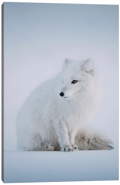 Svalbard, Norway I Canvas Art Print - Norway Art