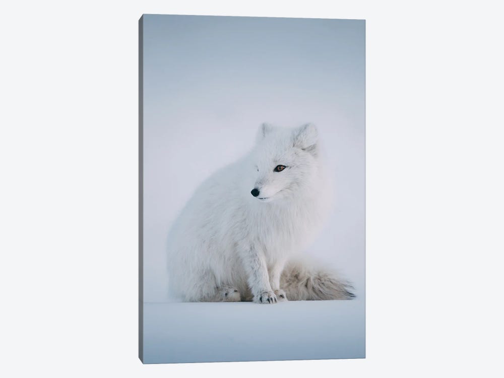 Svalbard, Norway I by Sebastian Scheichl 1-piece Art Print