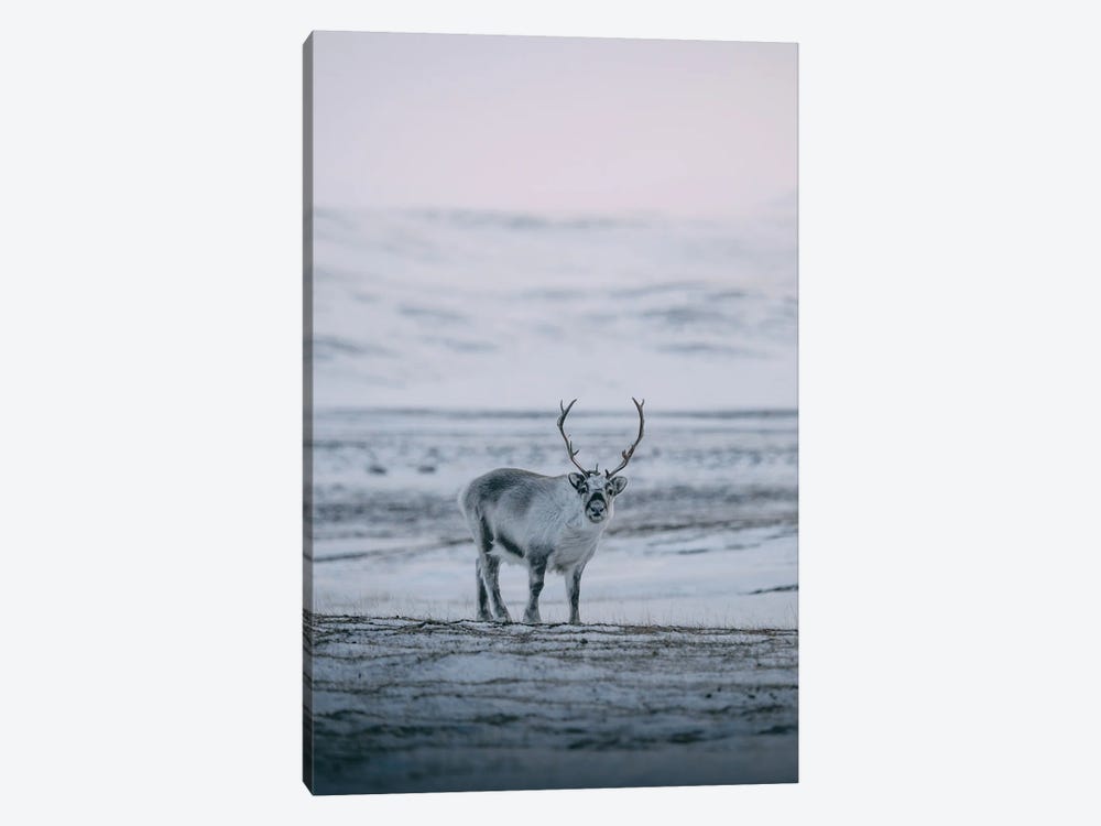 Svalbard, Norway II by Sebastian Scheichl 1-piece Canvas Art Print