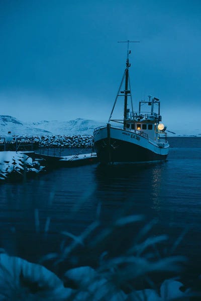 Sebastian Scheichl: Dalvik, Iceland by Sebastian Scheichl