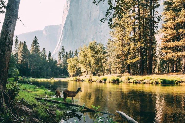 Yosemite Valley, USA