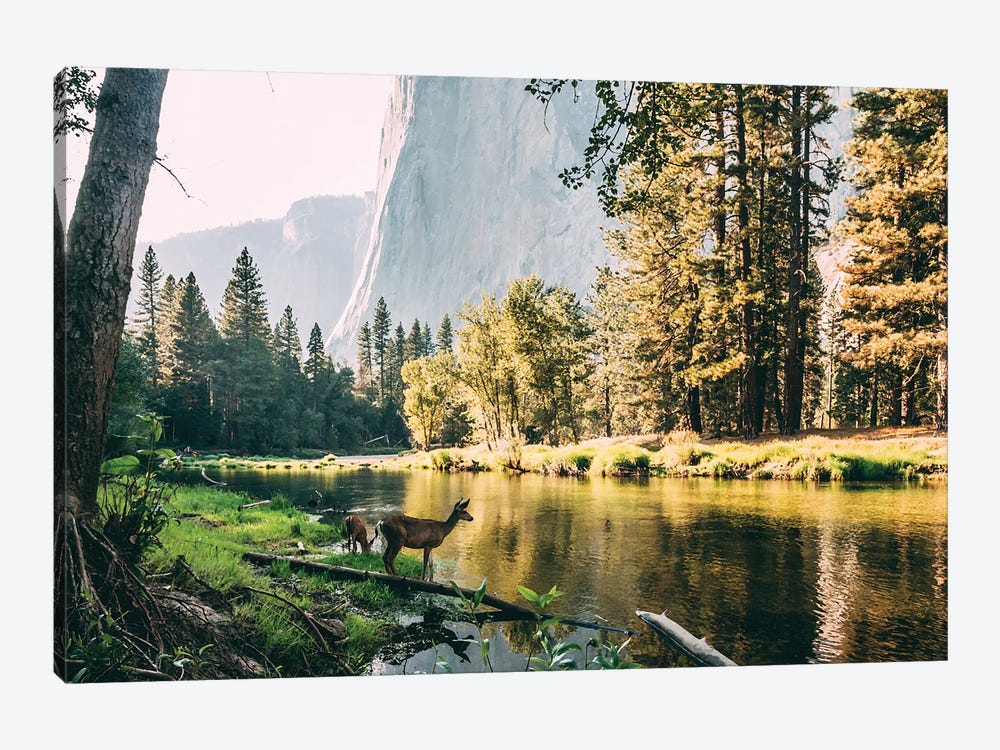 Yosemite Valley, USA by Sebastian Scheichl 1-piece Art Print