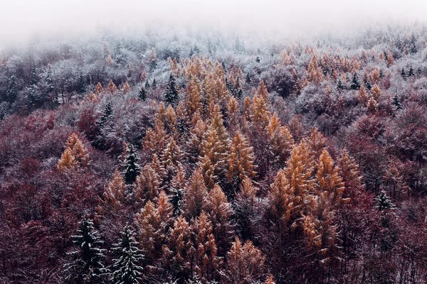 Sebastian Scheichl: Fuerstenbrunn, Austria by Sebastian Scheichl