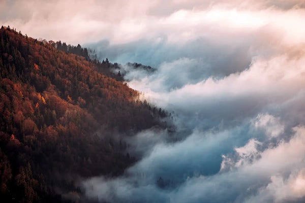 Sebastian Scheichl: Gaisberg, Austria II by Sebastian Scheichl