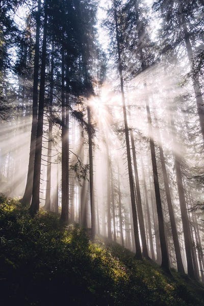 Gerzkopf, Austria II by Sebastian Scheichl canvas print