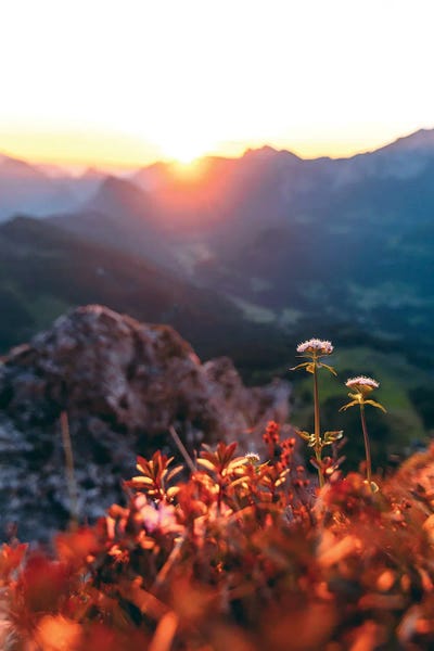 Gfoellhoerndl, Austria II by Sebastian Scheichl art print