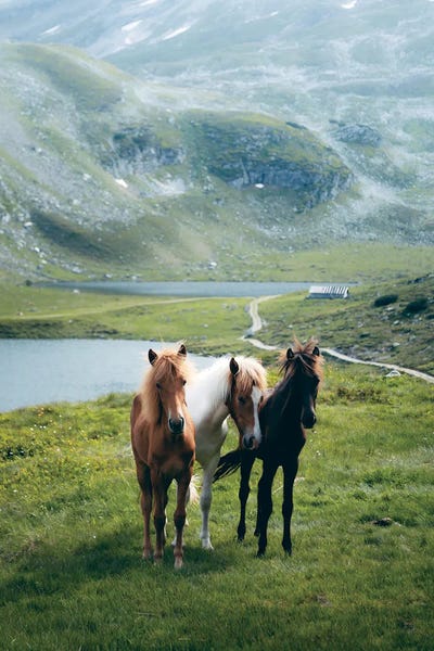 Sebastian Scheichl: Giglachseen, Austria by Sebastian Scheichl