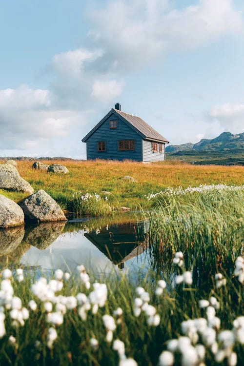 Hardangervidda, Norway I