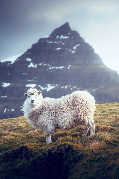 Sebastian Scheichl: Kalsoy, Faroe Islands by Sebastian Scheichl