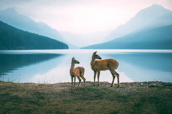 Sebastian Scheichl: Kananaskis Lake, Canada by Sebastian Scheichl