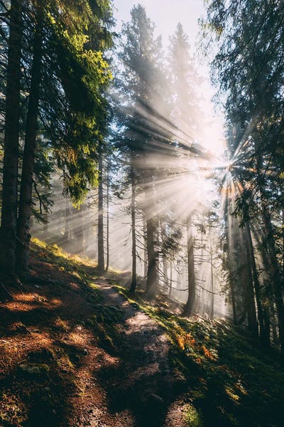 Tyrol: Kellerjoch, Austria I by Sebastian Scheichl