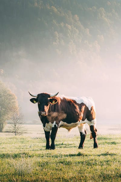 Sebastian Scheichl: Berchtesgaden, Germany by Sebastian Scheichl