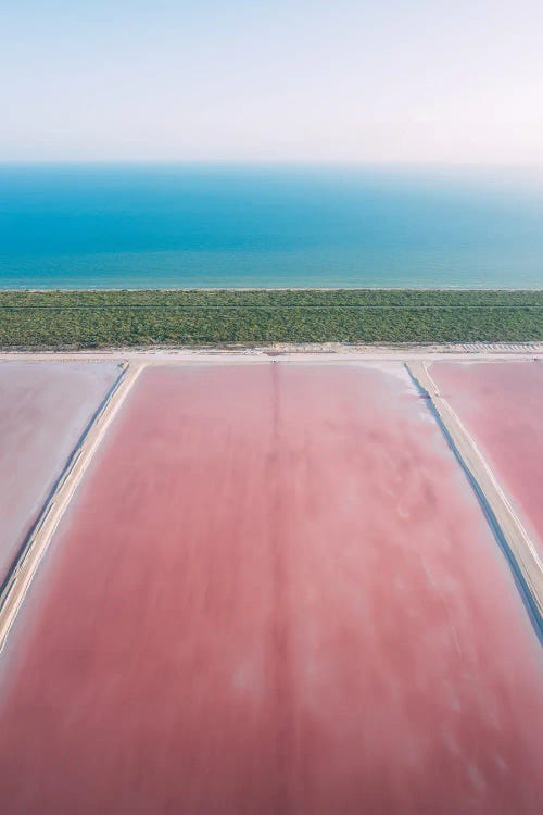 Las Coloradas, Mexico by Sebastian Scheichl wall art
