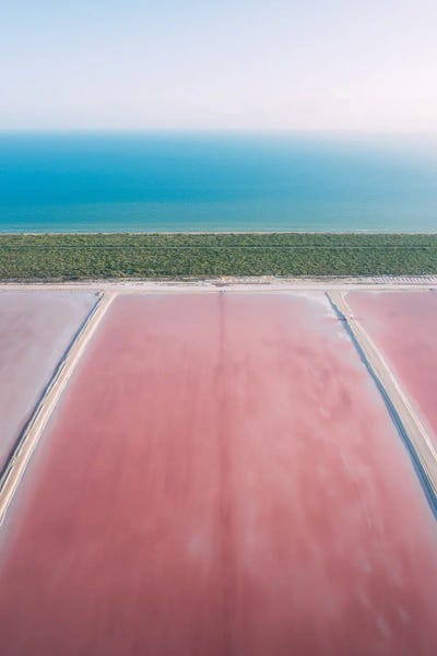 Sebastian Scheichl: Las Coloradas, Mexico by Sebastian Scheichl