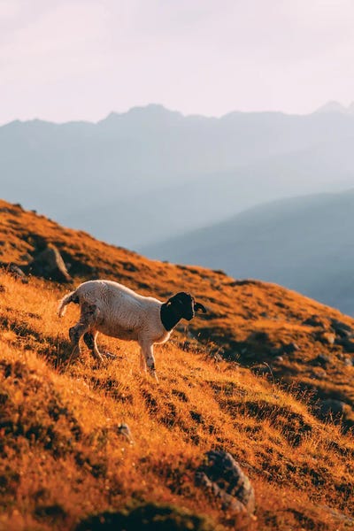 Layered Landscapes: Obergurgl, Austria by Sebastian Scheichl