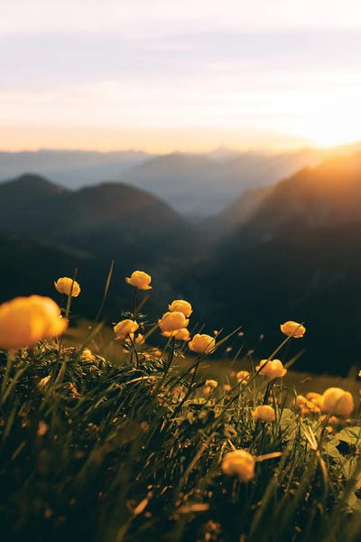 Sebastian Scheichl: Brandnertal, Austria by Sebastian Scheichl