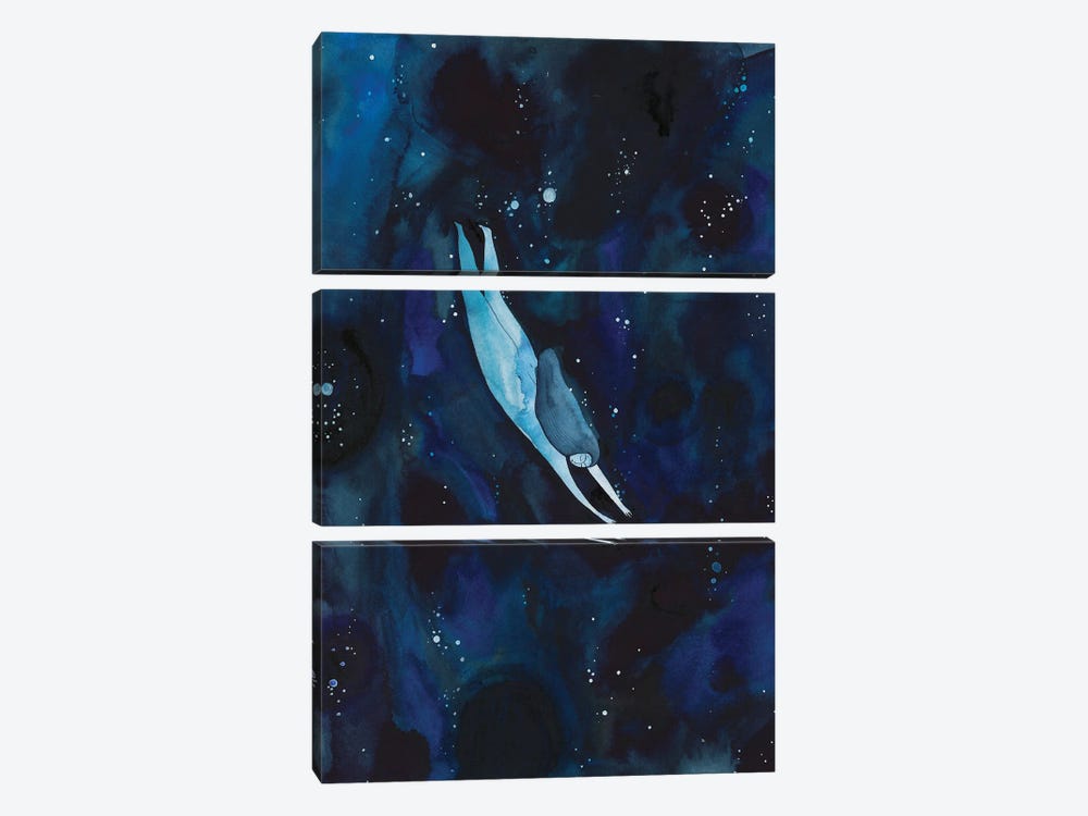 Dive In by Zsalto 3-piece Canvas Artwork
