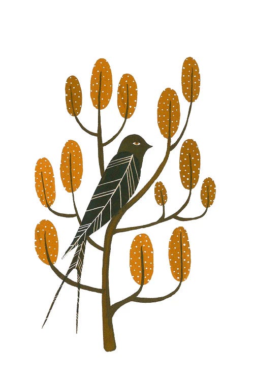 Swallow by Zsalto wall art