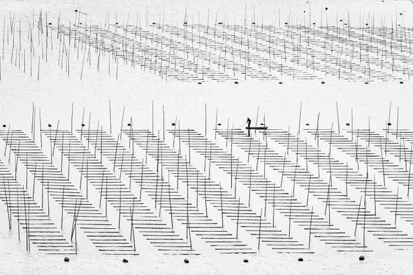 Zay Yar Lin: Lone Work At Seaweed Farm by Zay Yar Lin