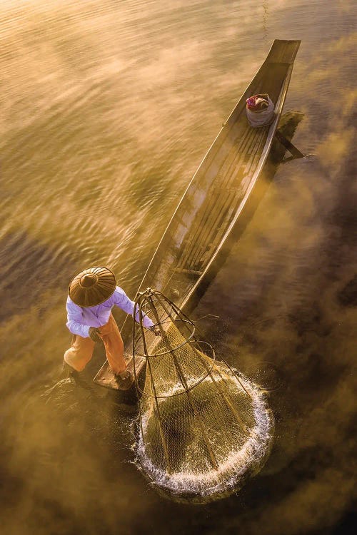 Golden Morning