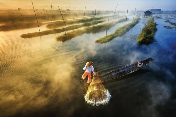 Zay Yar Lin: Sun's Up, Nets Out by Zay Yar Lin