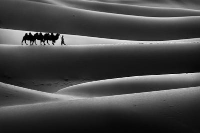 Nomadic Journey At Gobi Desert by Zay Yar Lin acrylic art print