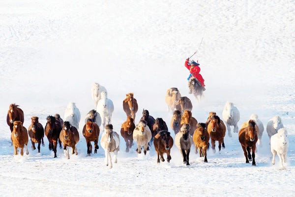 Mongolia: Snow Horse Man by Zay Yar Lin