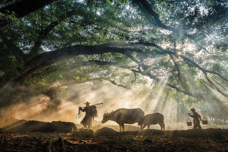 On The Way To The Farm by Zay Yar Lin wall art