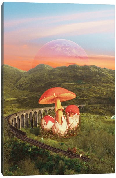 Train Tracks Canvas Art Print - Mushroom Art