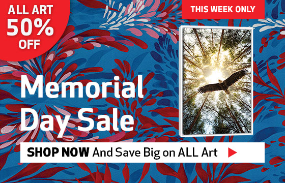 Memorial Day Week Sale-50% off