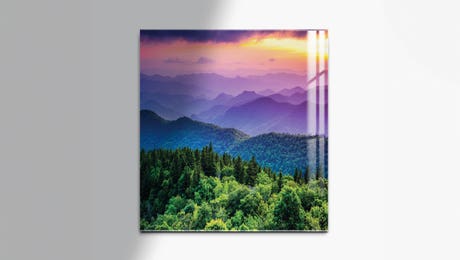 Acrylic Glass Art Prints