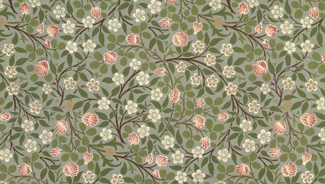 Small Pink and White Flower by William Morris