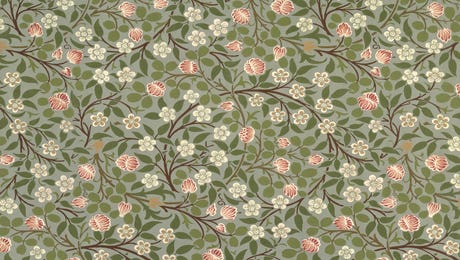 Small Pink and White Flower by William Morris