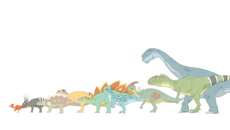 Pencil Drawing Illustrating Various Dinosaurs And Their Comparative Sizes by Alice Turner