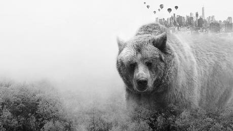 The Best Of All Worlds by Emanuela Carratoni