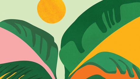 Things Are Looking Up by Modern Tropical