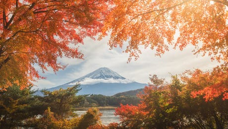 Autumn In Japan XIII by Daniel Kordan