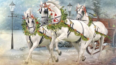 Tis The Season by Trudi Simmonds