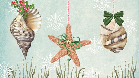 Christmas Coastal Collection A by Jade Reynolds