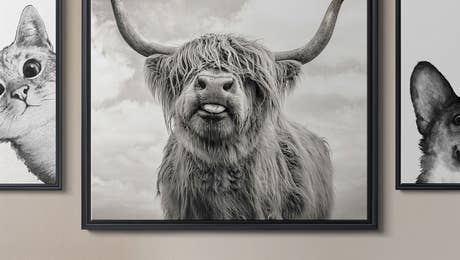 Animal Art Hero - October 2025