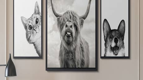 Animal Art Hero - October 2025