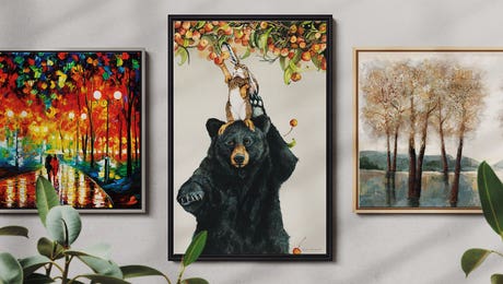 Framed Canvas Sale Page October