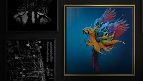 Early Bird Black Friday Hero