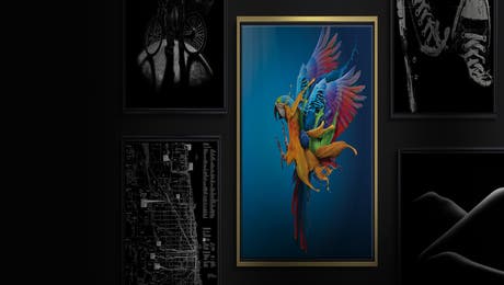 Early Bird Black Friday Hero