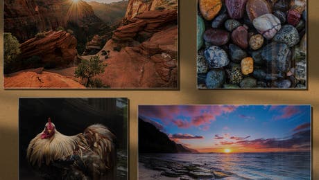 Photography HP Hero - May 26