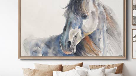 Watercolor HP Feature July 26