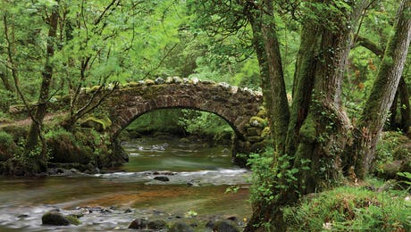 Bridges Art
