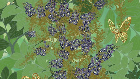 Anthony Van Lam Hero